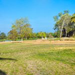 WhatsApp Image 2024-04-18 at 10.56.21 AM (1)